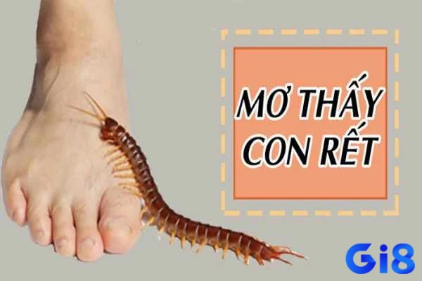 Từng tình huống thấy con rết đánh số mấy sẽ khác nhau