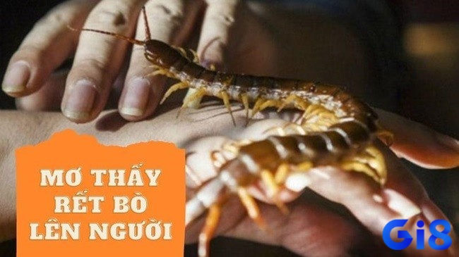 Cặp đề 60, 84 giúp bạn rinh tài lộc khi ngủ mơ thấy rết bò lên người