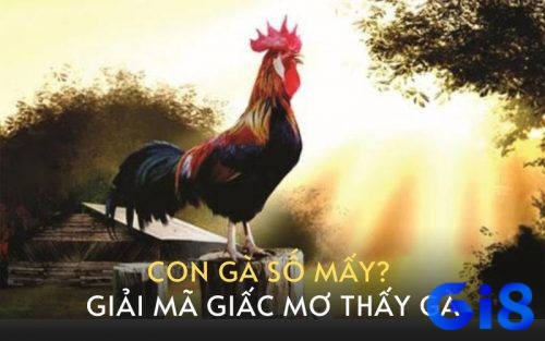 Tổng hợp những con số may mắn khi mơ thấy bắt được gà trống