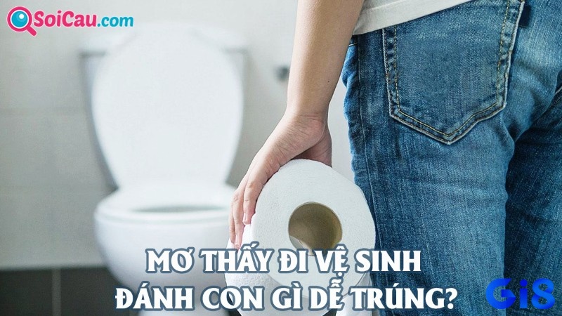 Giải mã giấc mơ thấy đi vệ sinh cùng Gi8 nhé!